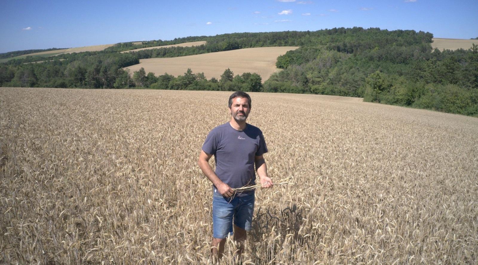 Sébastien Neveux holding blades of wheat