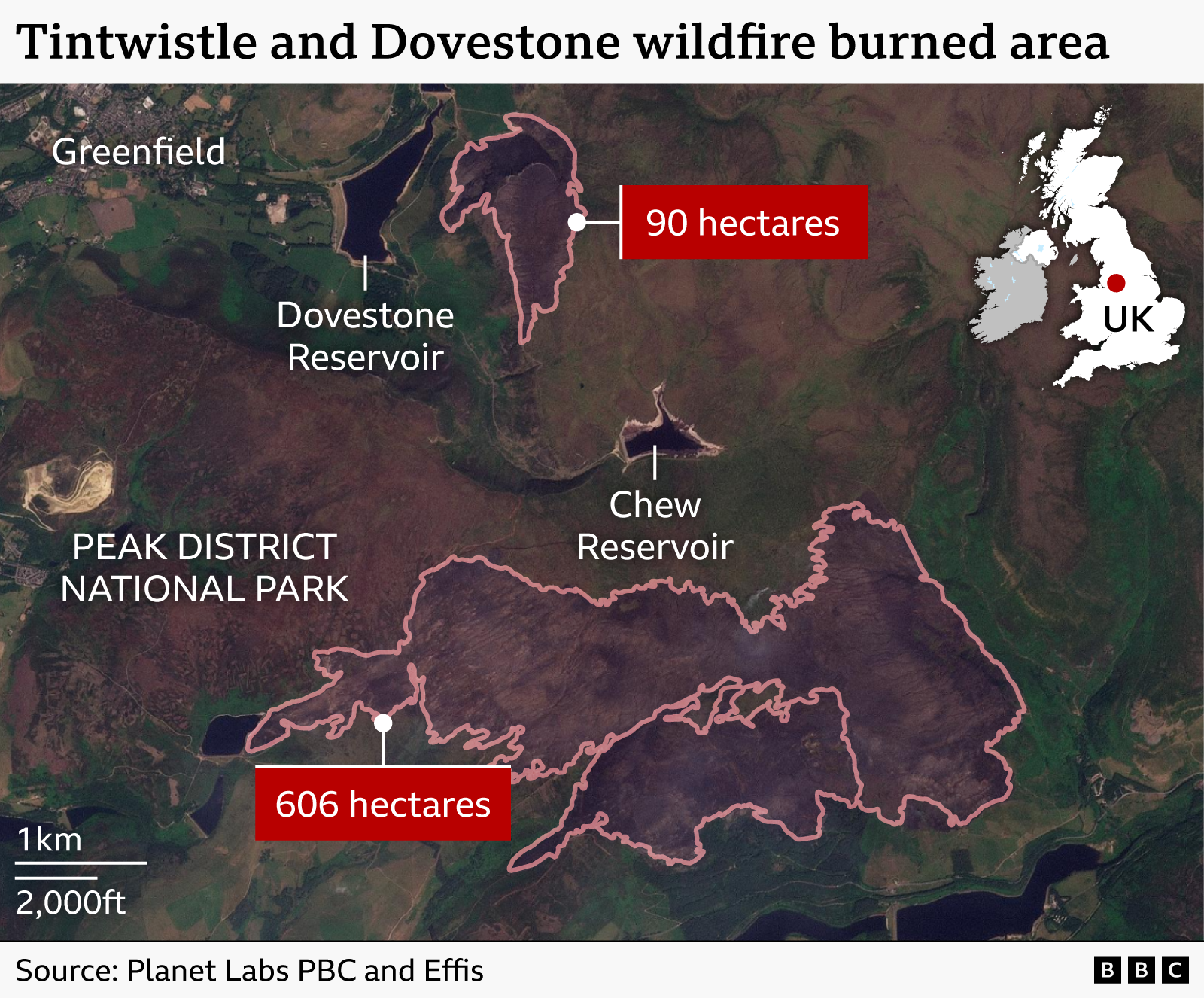 Graphic showing wildfires