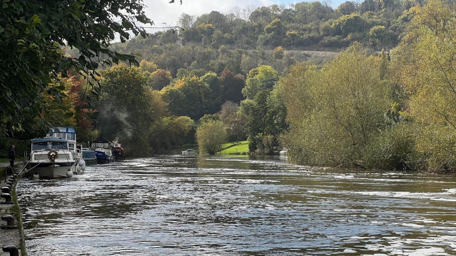 A wide river with trees on both sides, and some boats moored up on the left hand side.