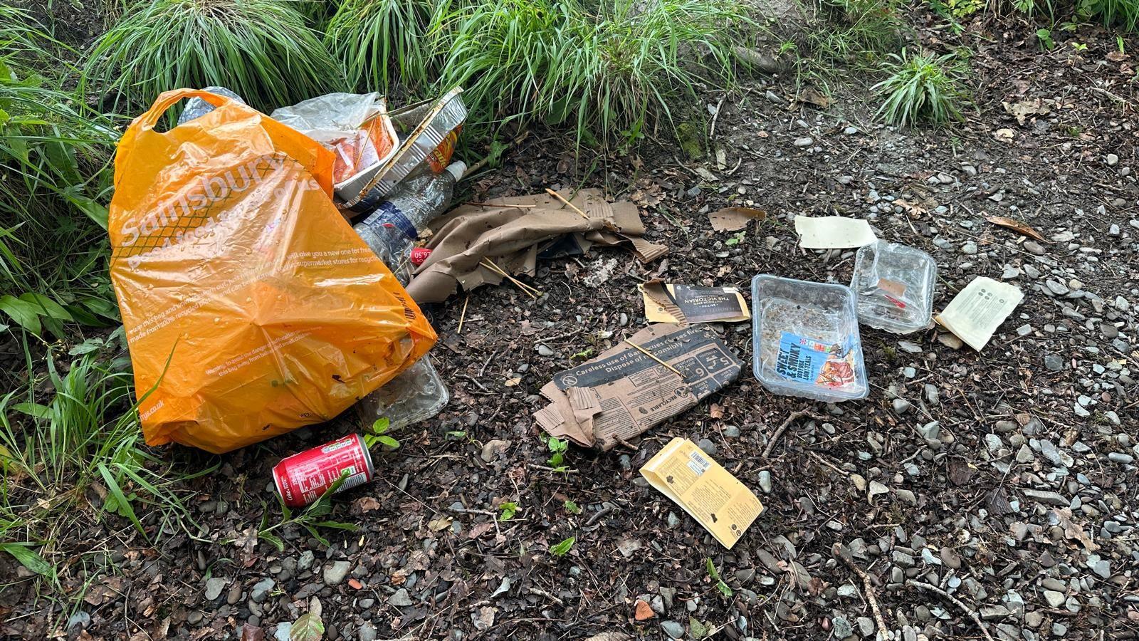 Rubbish, food plastic containers and carrier bags discarded in the woods by Windermere.