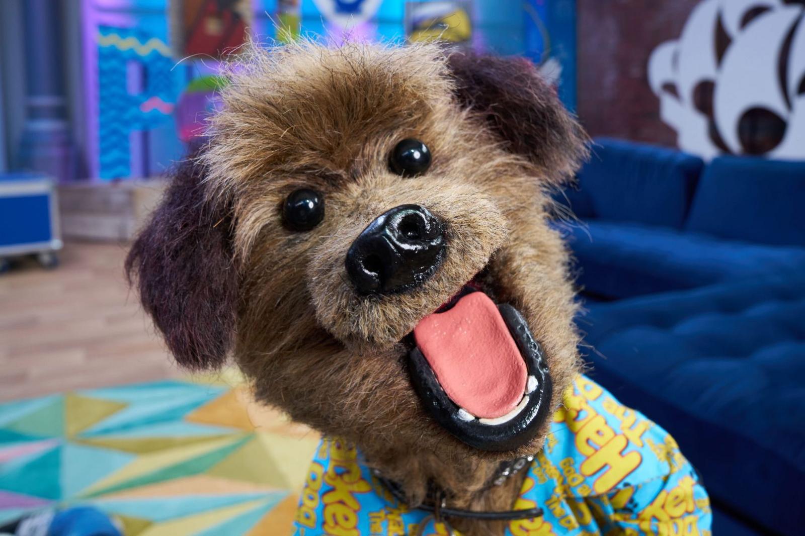 hacker smiling in the blue peter studio