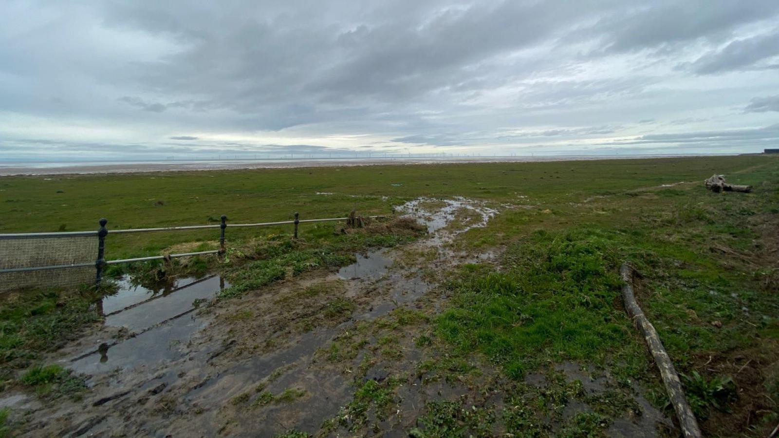 Grass on Hoylake beach