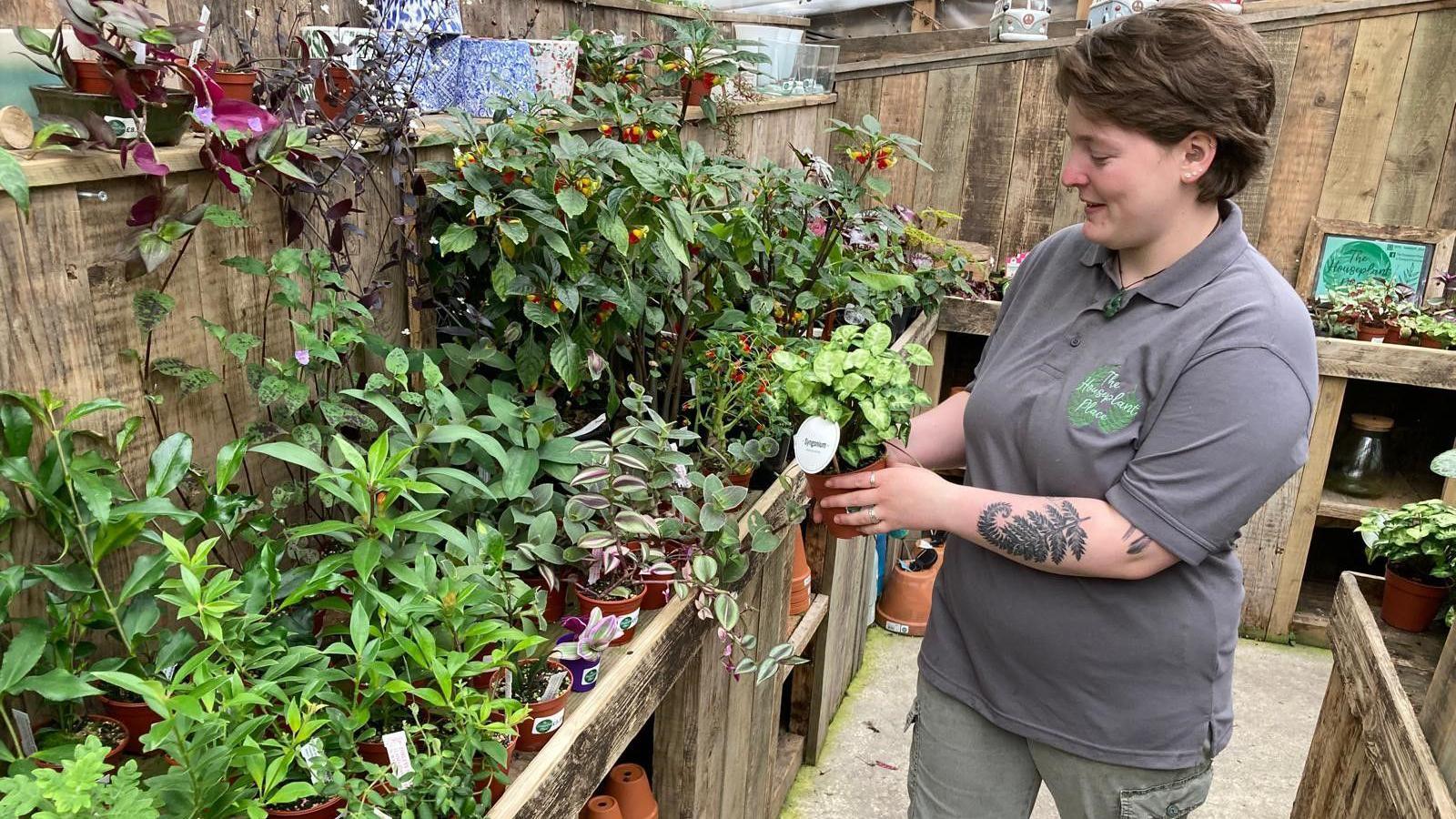 Ruth Bramley stocks the shelves in her houseplant shop.