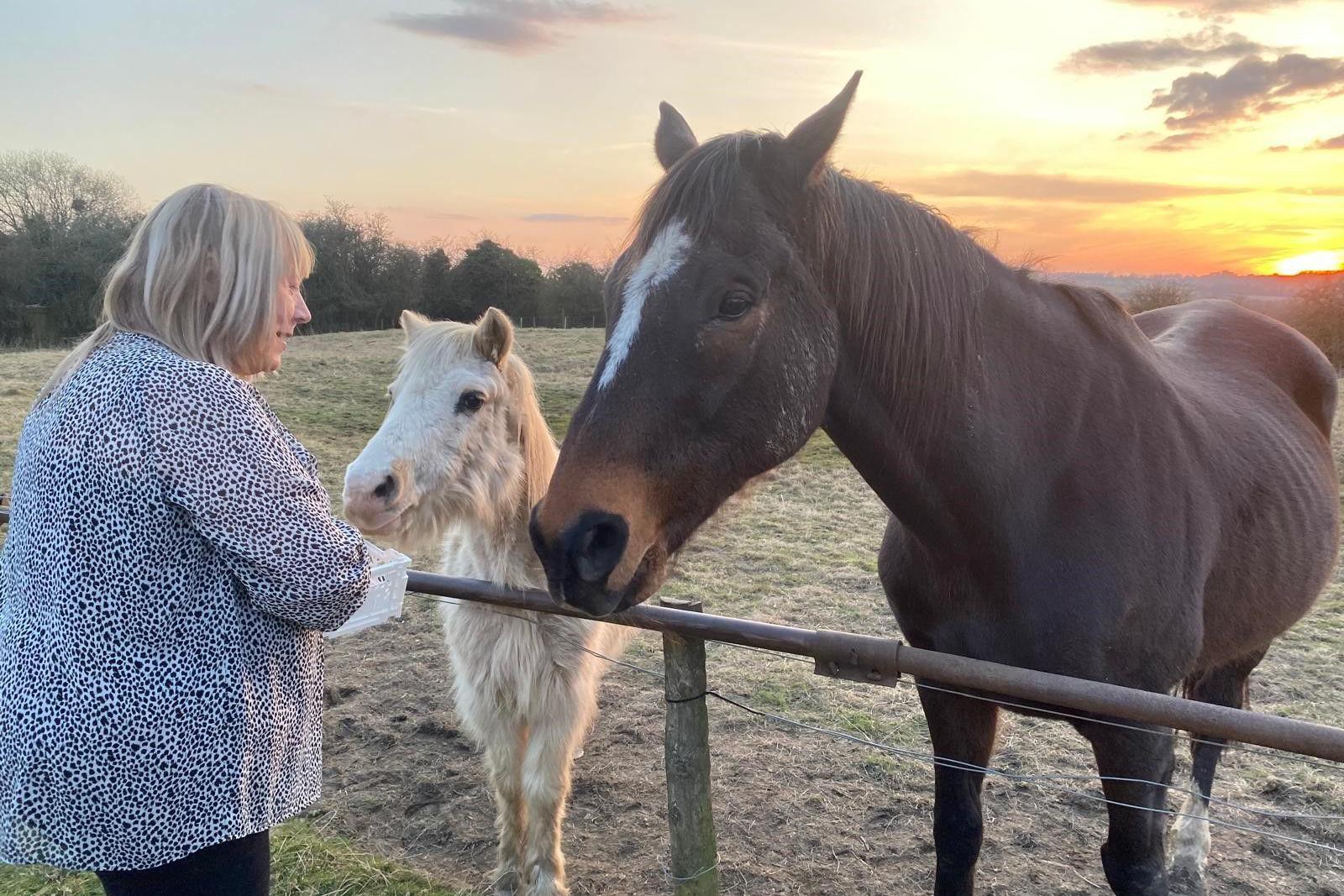 Alison Kirk is pictured next to two horses
