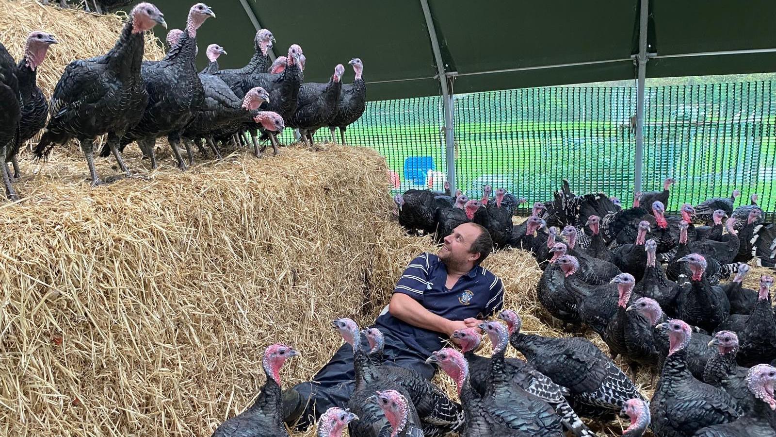 David, gwr Kate, yn ymlacio gyda'r twrcwn yn Nhremain, Ceredigion