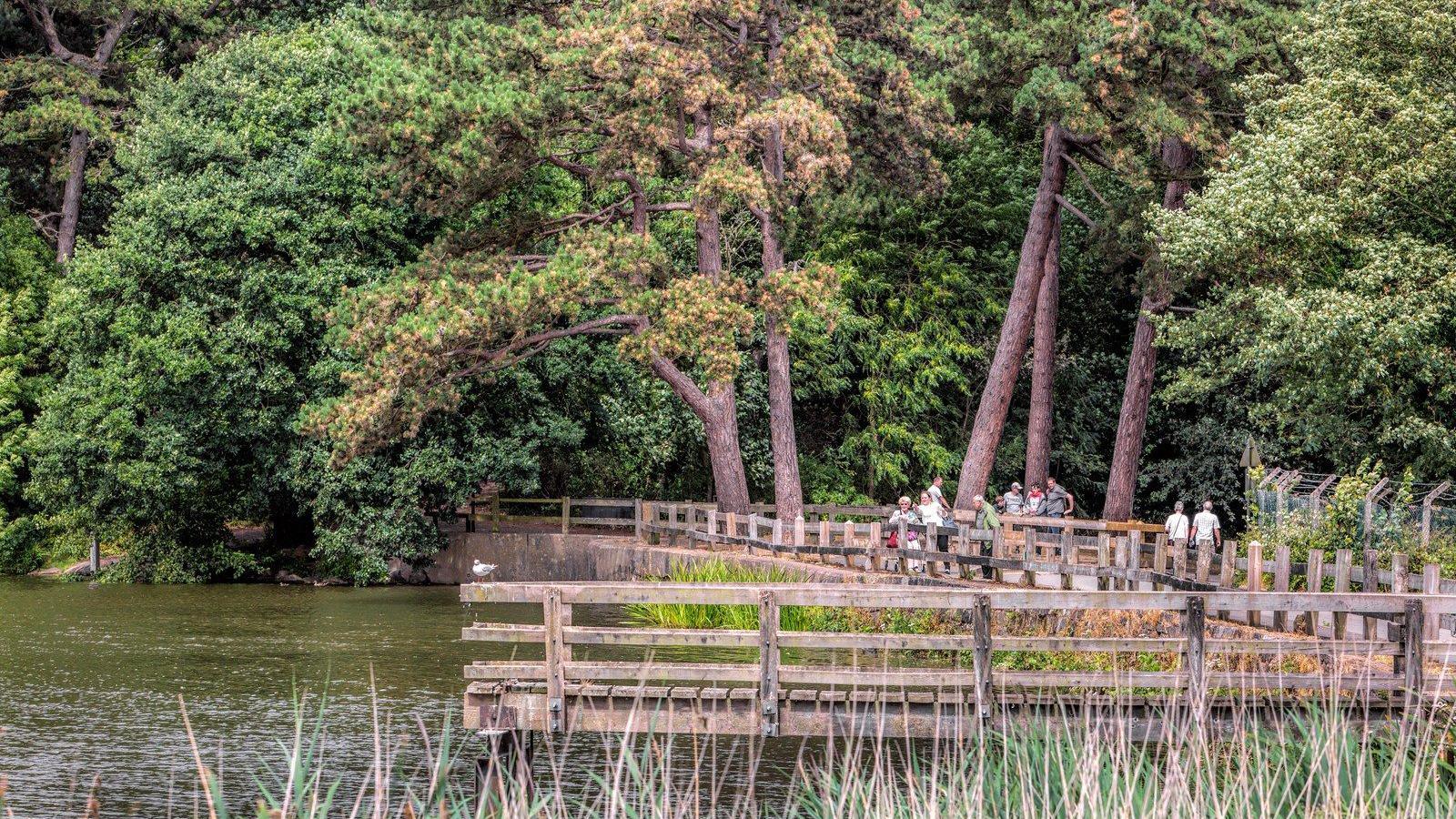 Shipley Country Park