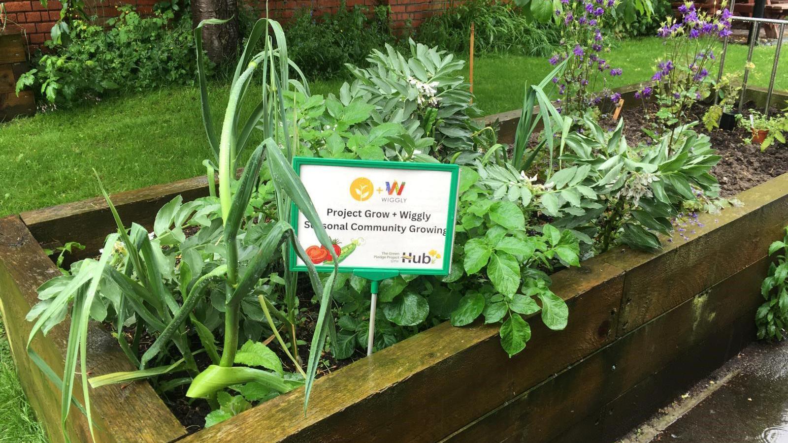 Plants growing with a sign in the soil mentioning the project