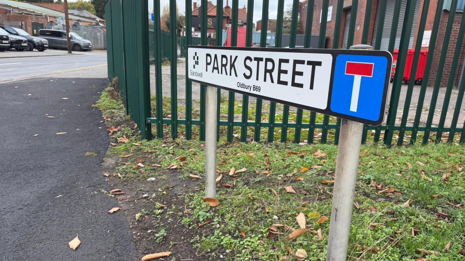 A sign reading "Park Street" on grass next to a pavement, in front of a green metal fence. Cars can be seen in the background.