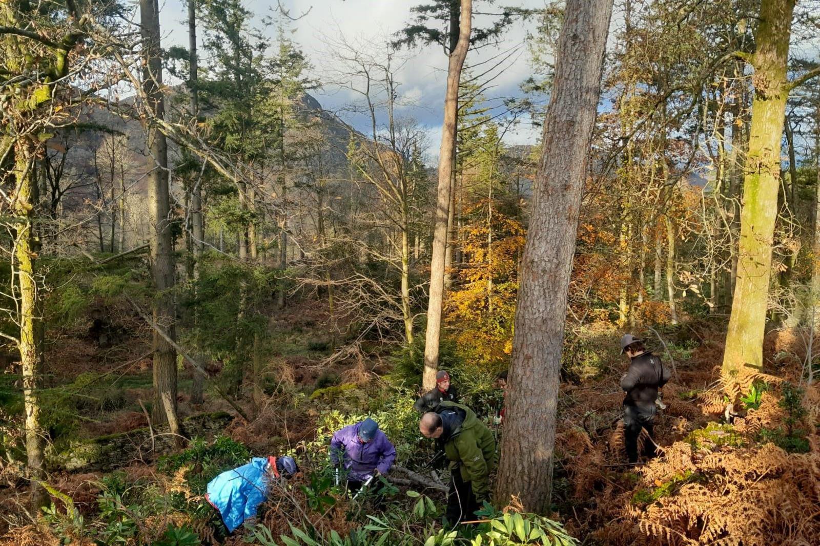 Six volunteers clearing a woodland area. They are wearing typical outdoor-style clothing and hats. A mountain can be seen in the background with blue sky poking through the gaps in the trees.