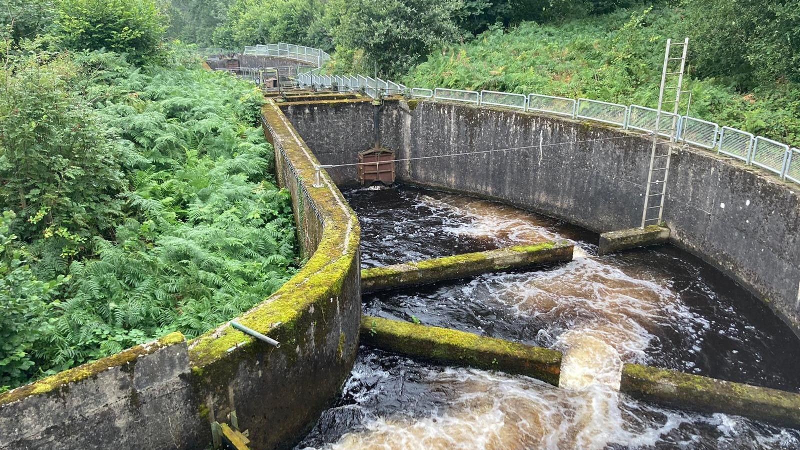 Fish ladder