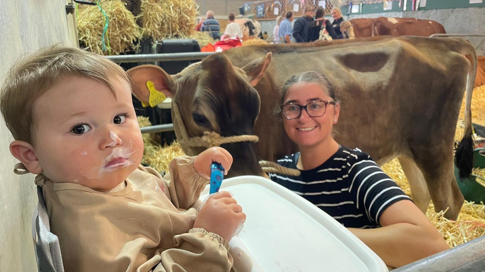 A baby with blonde hair in his high chair with yoghurt over his face. Next to him is a large brown cow. The baby's mother is holding onto the cow and smiling. She has dark brown hair and is wearing a black and white striped t-shirt and square glasses. 