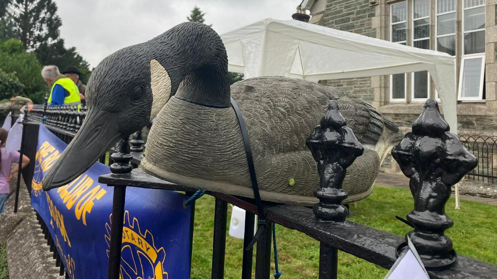 Fake goose strapped to fence