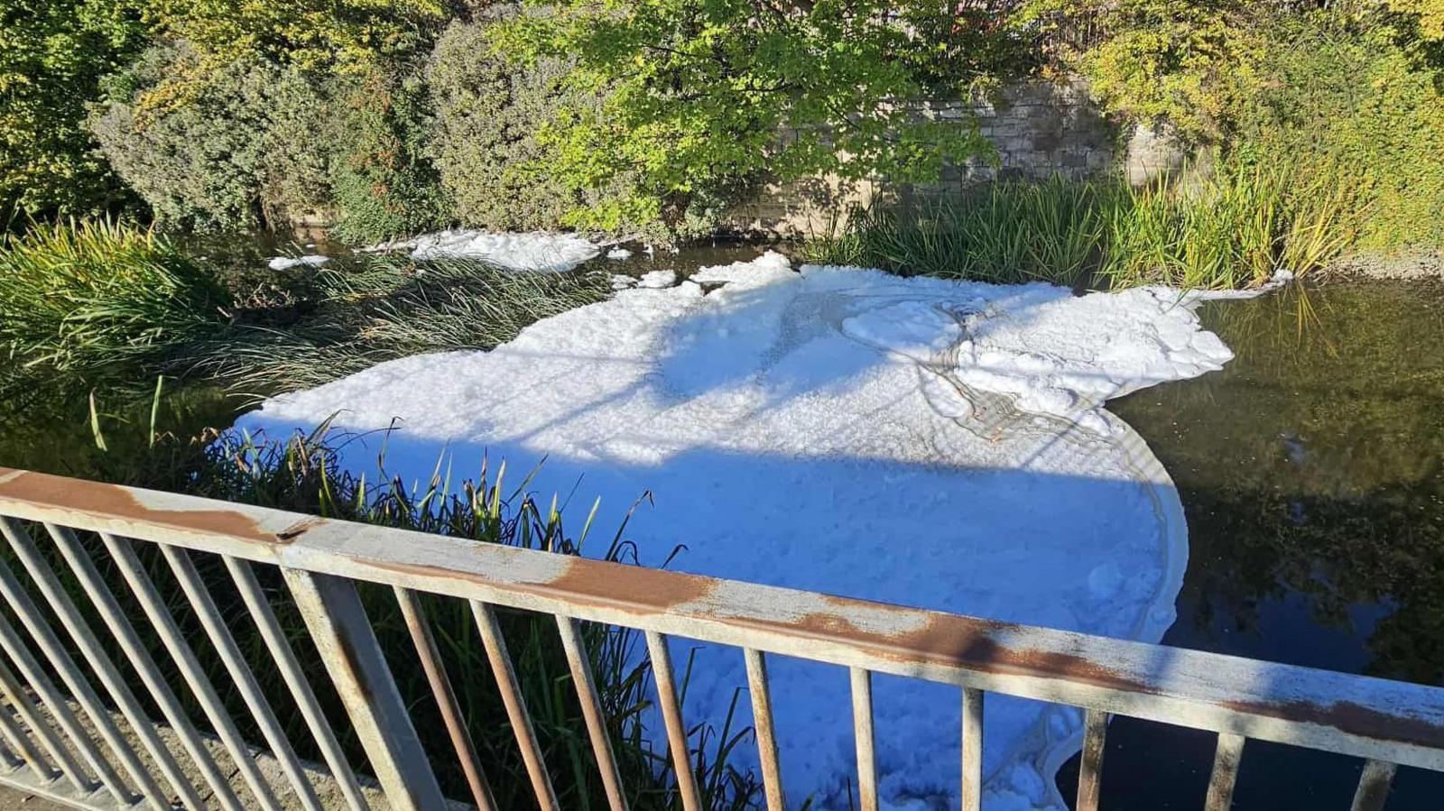 A large patch of foam covering part of a river from one bank to the other. It has drifted into a bank of reeds. A slightly rusted metal barrier can be seen along the bottom of the image.