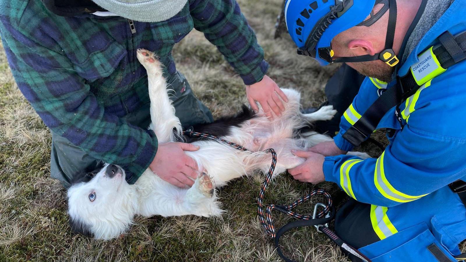 A black and white collie dog lying on its back, with two men playing with it, one wearing blue Coastguard colours, the other in a green and blue checked shirt.