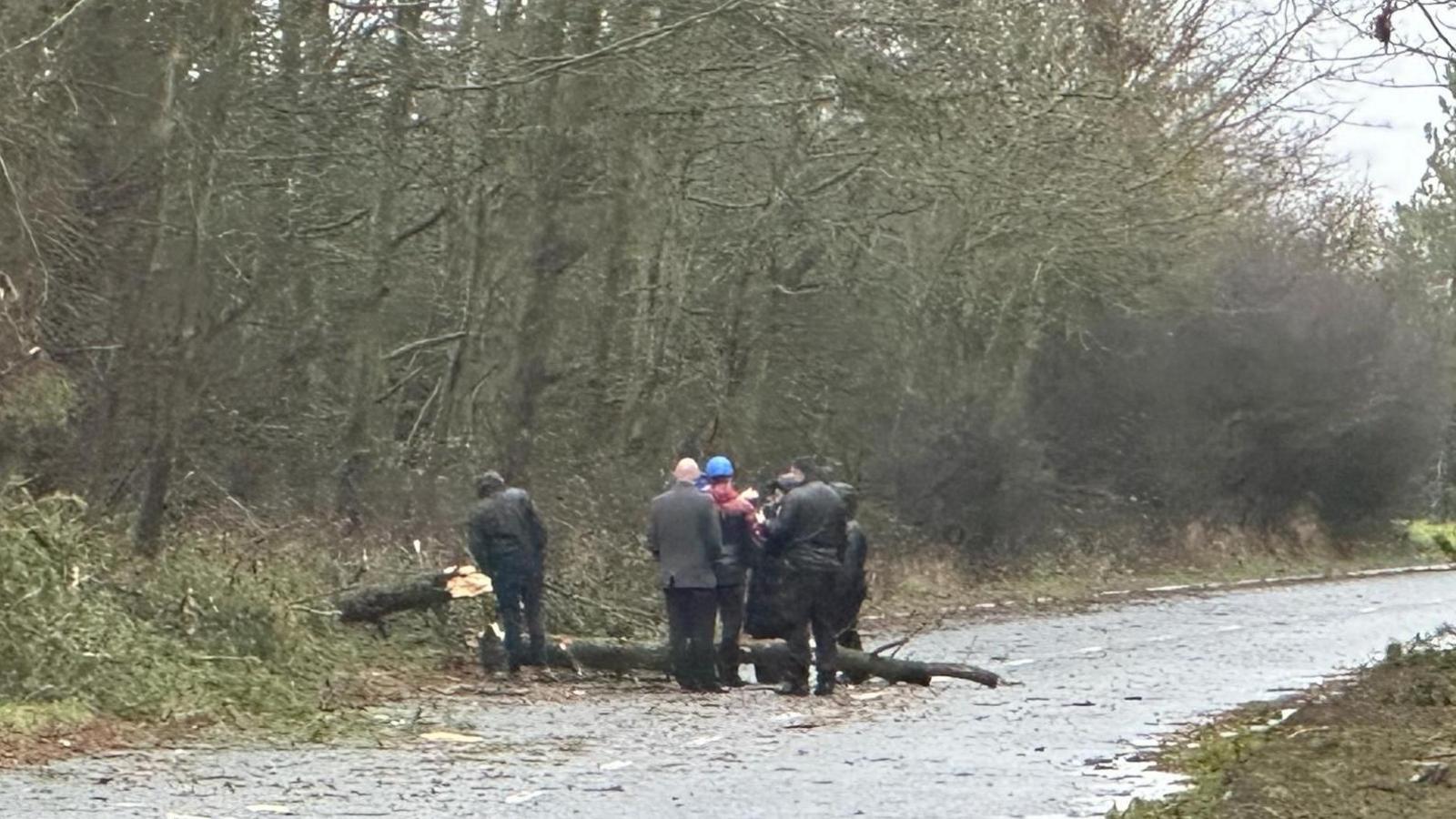 Fallen tree on the A1068