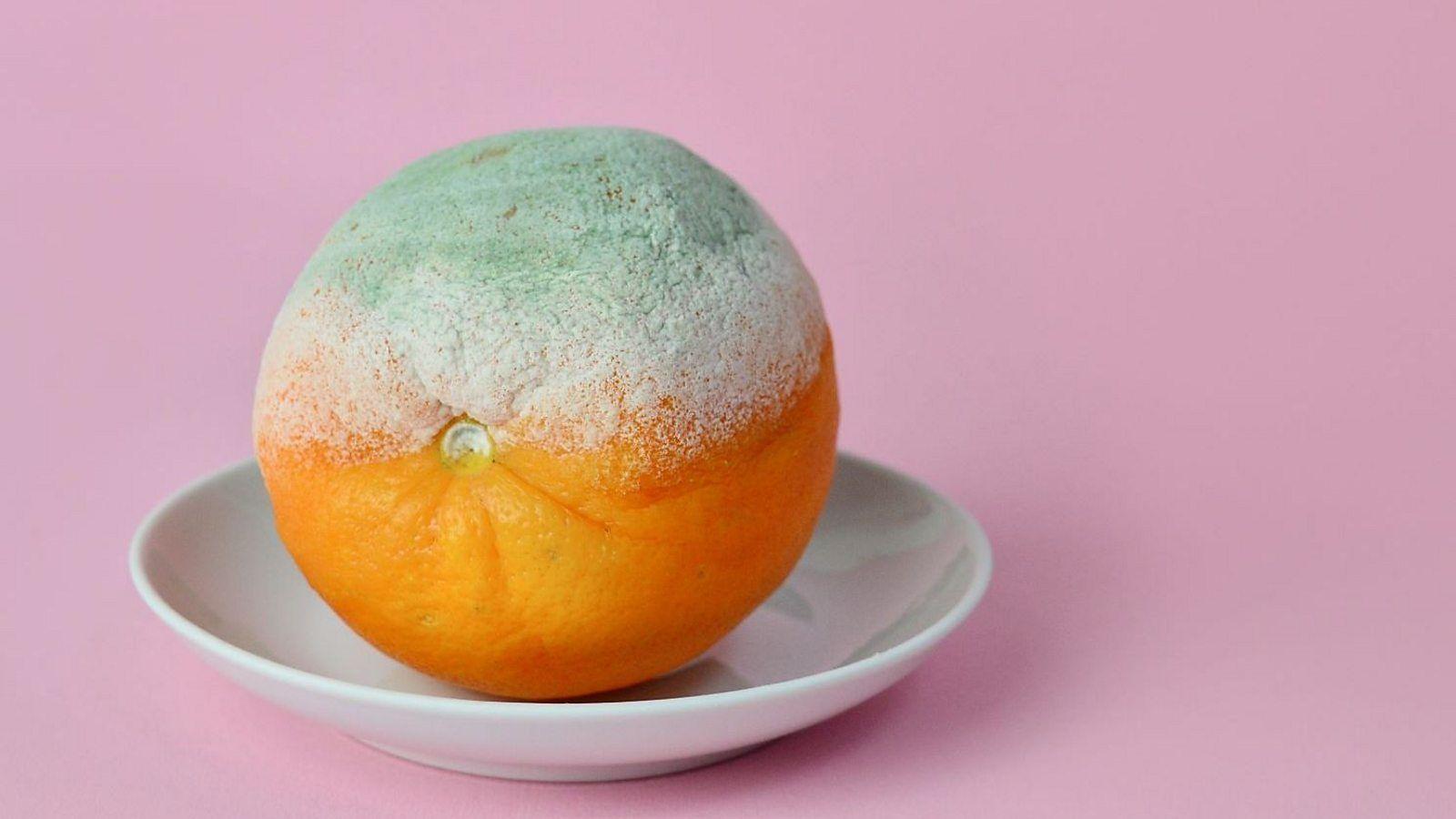 A mouldy orange on a saucer, sitting on a pink background