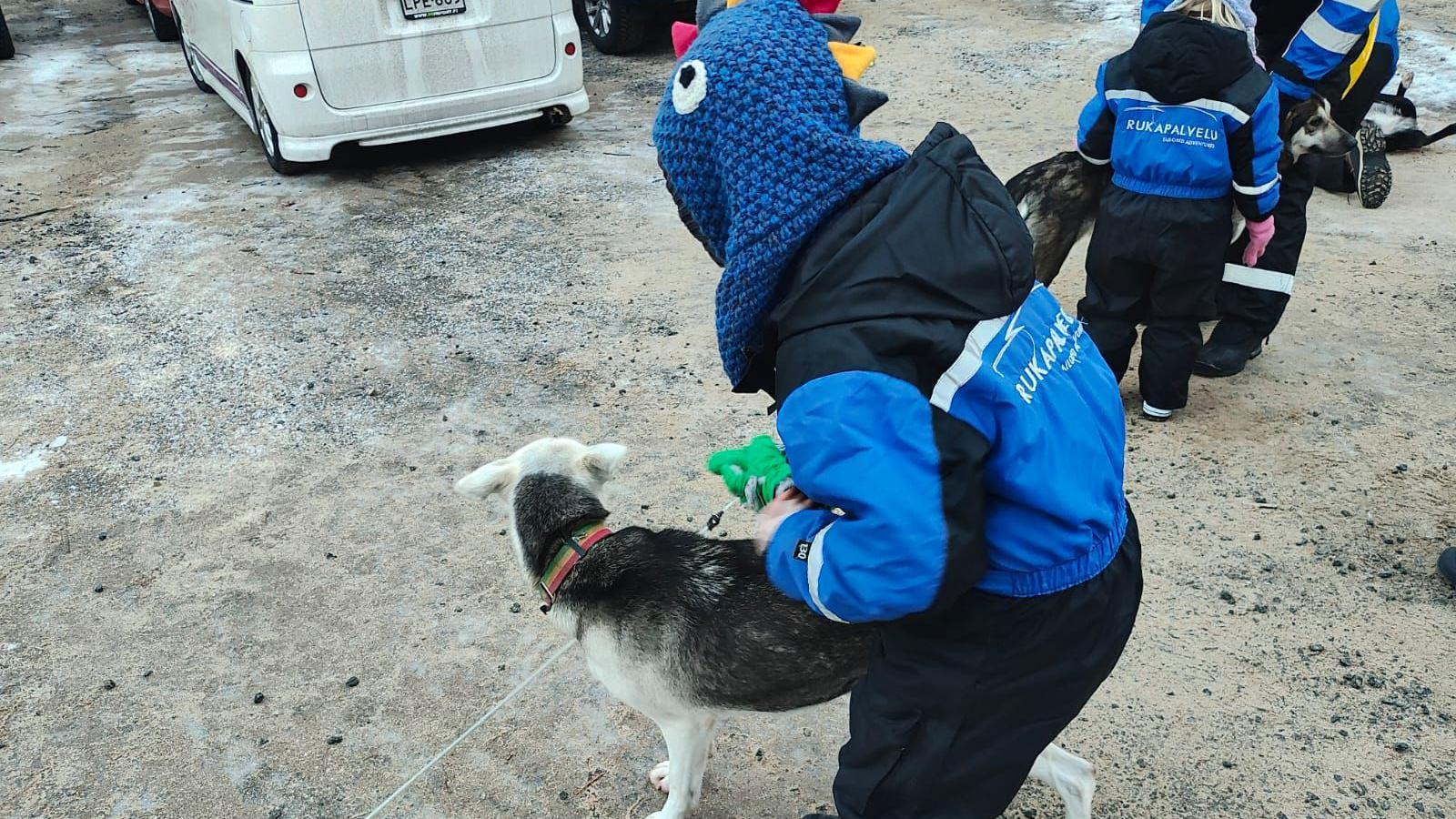 Finn pictured from the back, stroking a husky. There are other families in the background petting dogs and there is no snow on the ground.