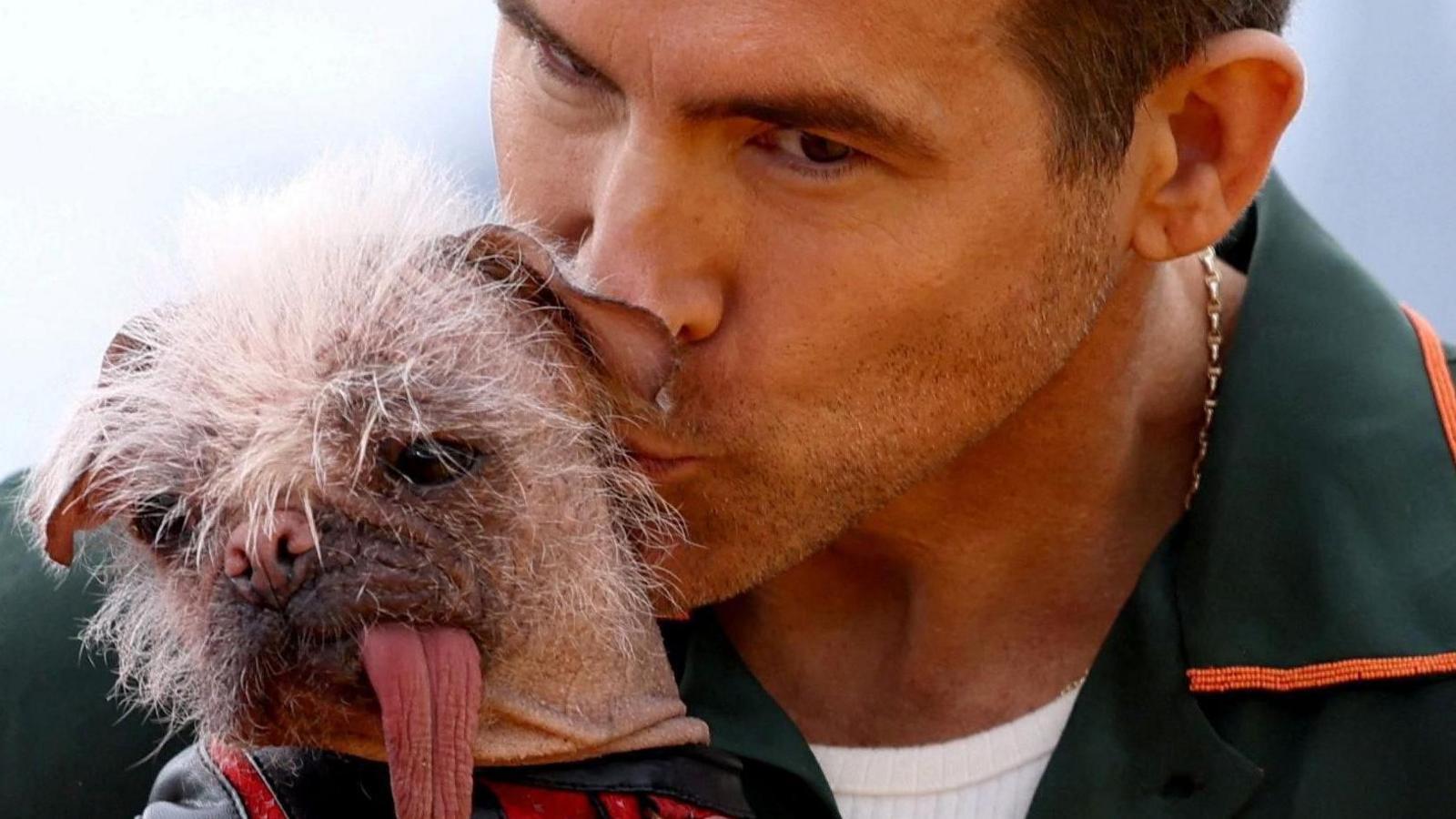 Ryan Reynolds wears a green shirt and holds Peggy the dog. He is kissing her on the side of the head. She wears red and black superhero costume and has a long, pink tongue.