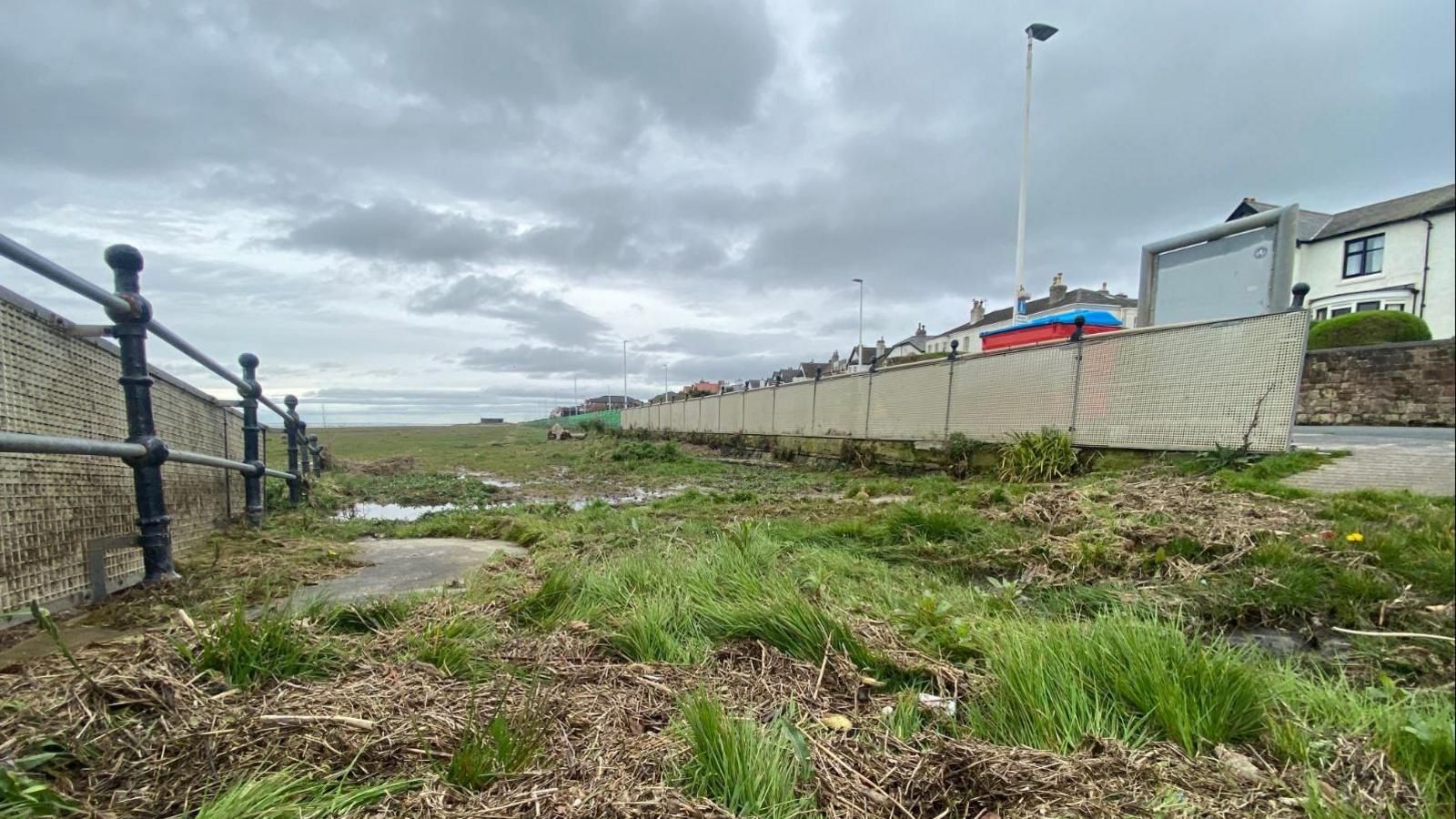 Grass on Hoylake beach