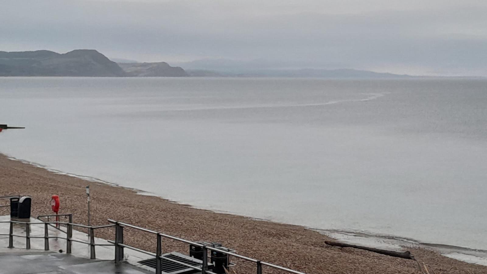 View over the sea from Lyme Regis on a grey misty morning. The dark grey silhouette of cliffs a Charmouth can be seen in the distance