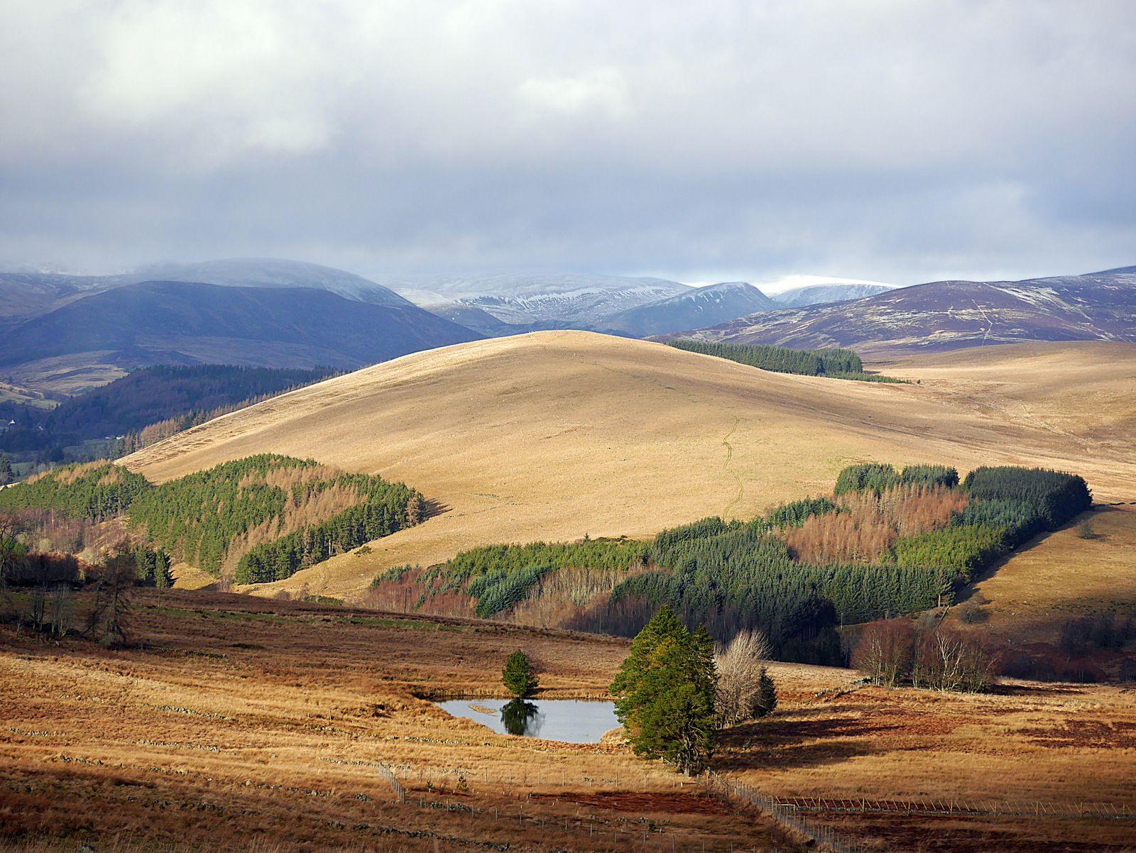 A stunning view across the countryside of tree plantations and a pool of water looking out across a hilly range