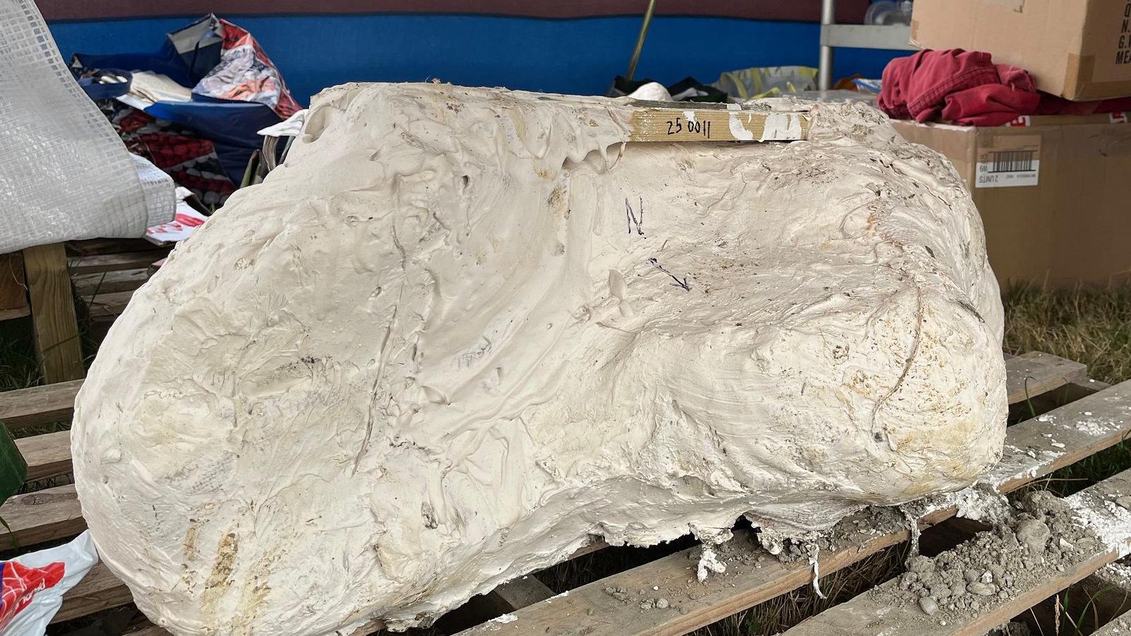 A huge white plaster covered object sitting on a wooden pallet with boxes behind it