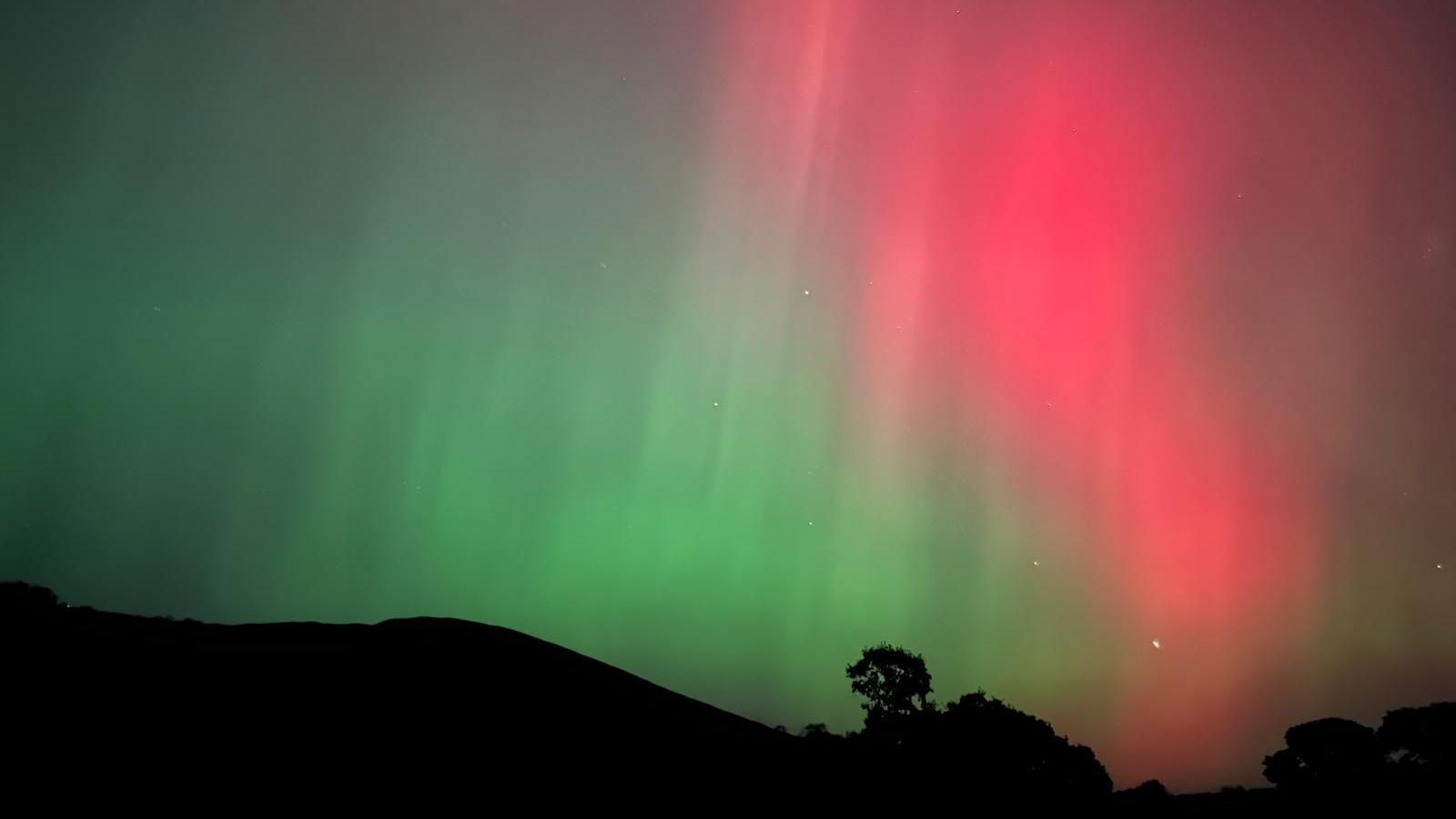 A silhouette of a tree, as red and green lights swirl in the sky. 