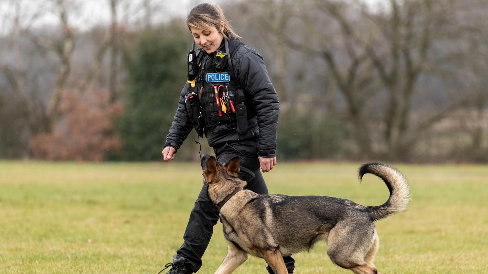 A police officer stood next to a dog. The police officer and dog are looking at each other