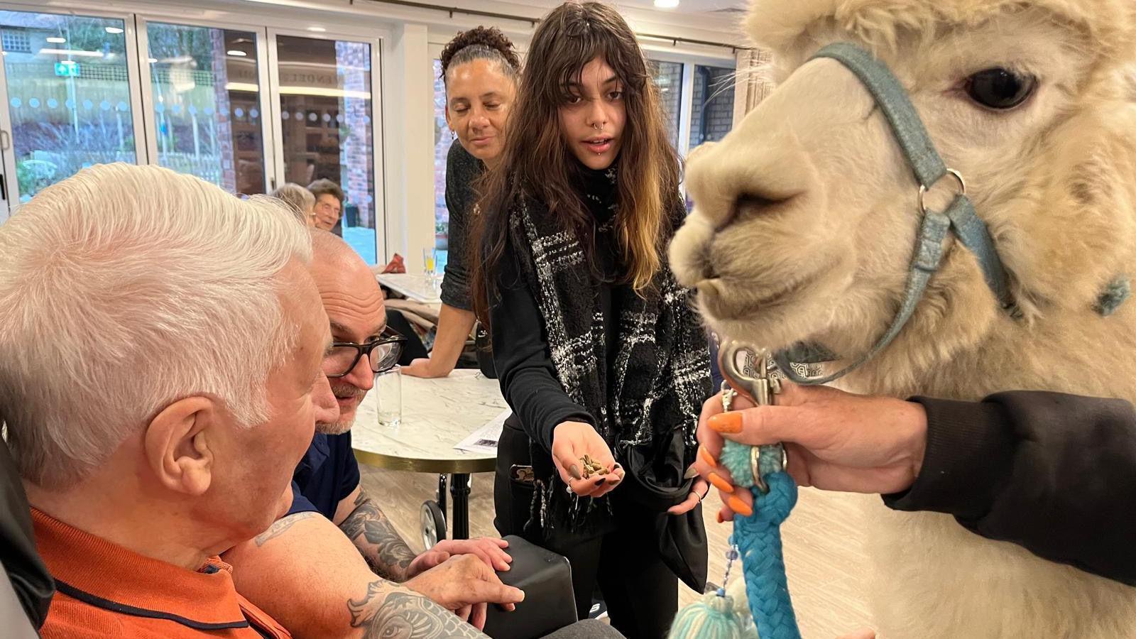 A view of Prancer as he meets another resident who is sitting in a chair. Two other people are also reaching to pet him including a woman who has treats in her hand for him.