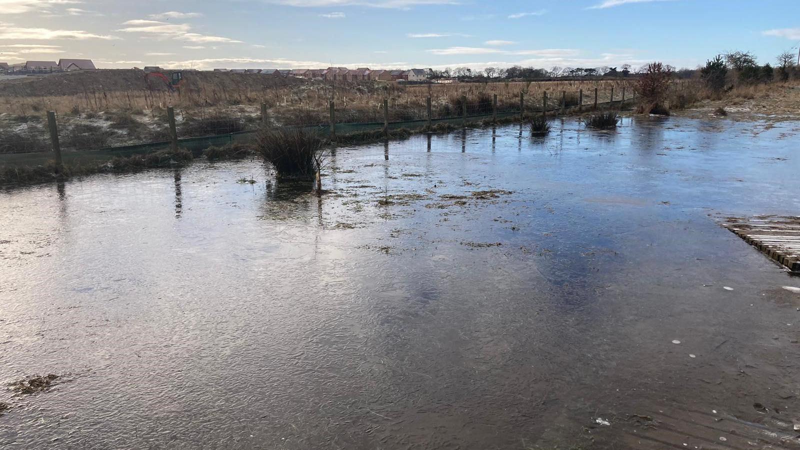 Havannah Nature Reserve with a large quantity of water in the foreground of the picture 