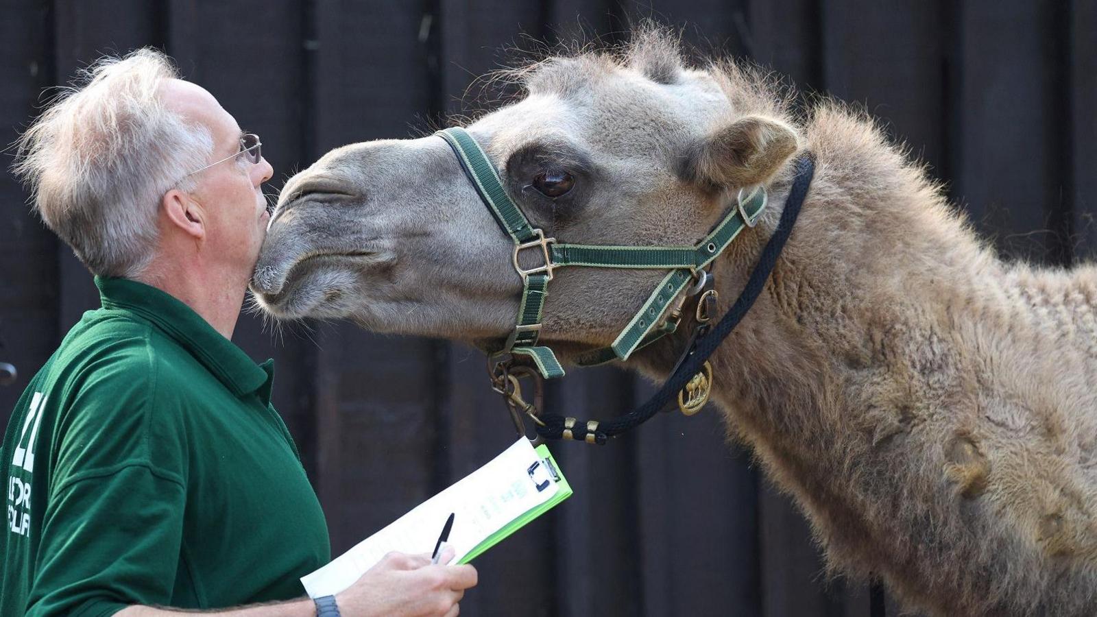 Zookeeper with camel. 