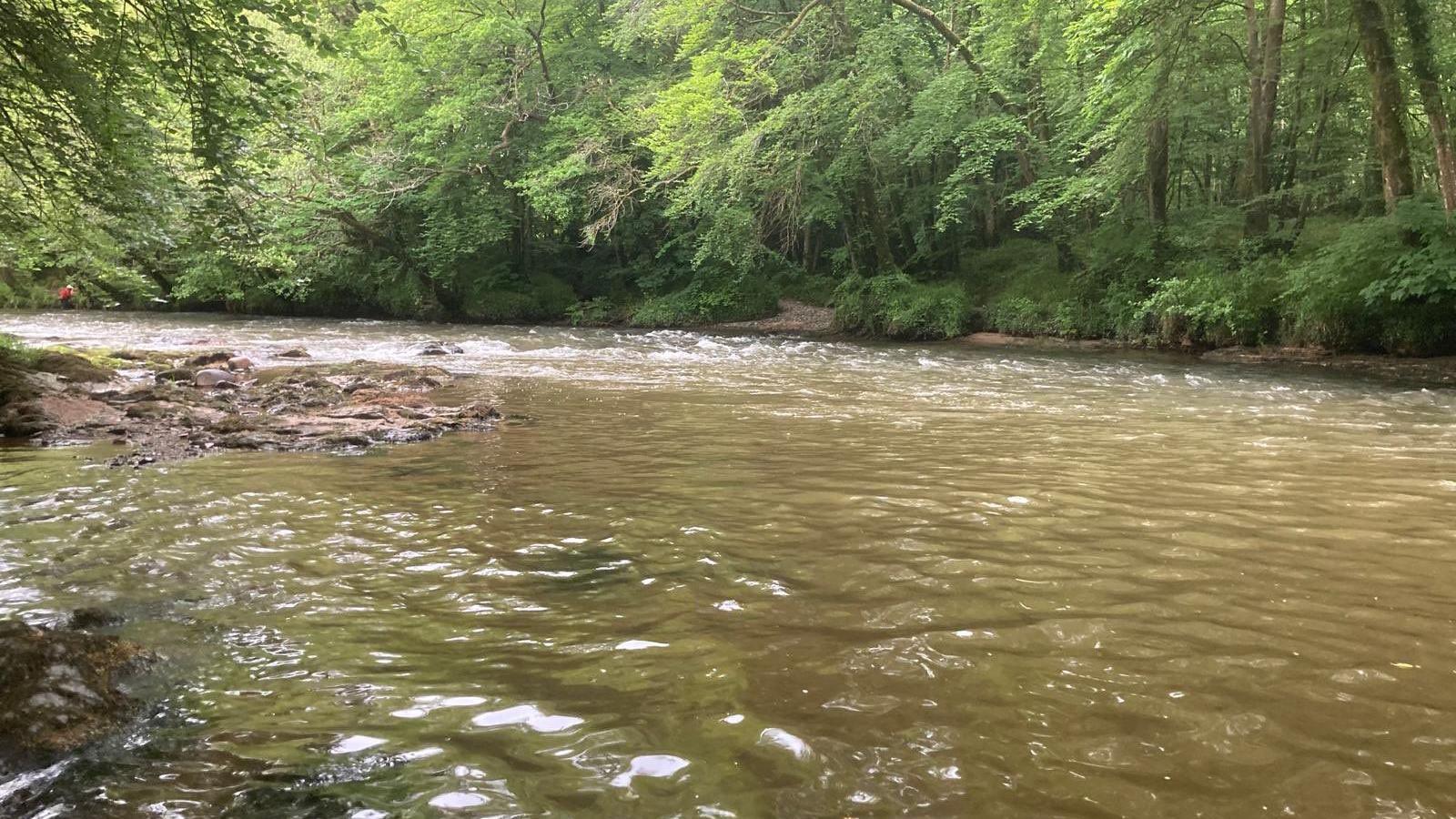 River Dart