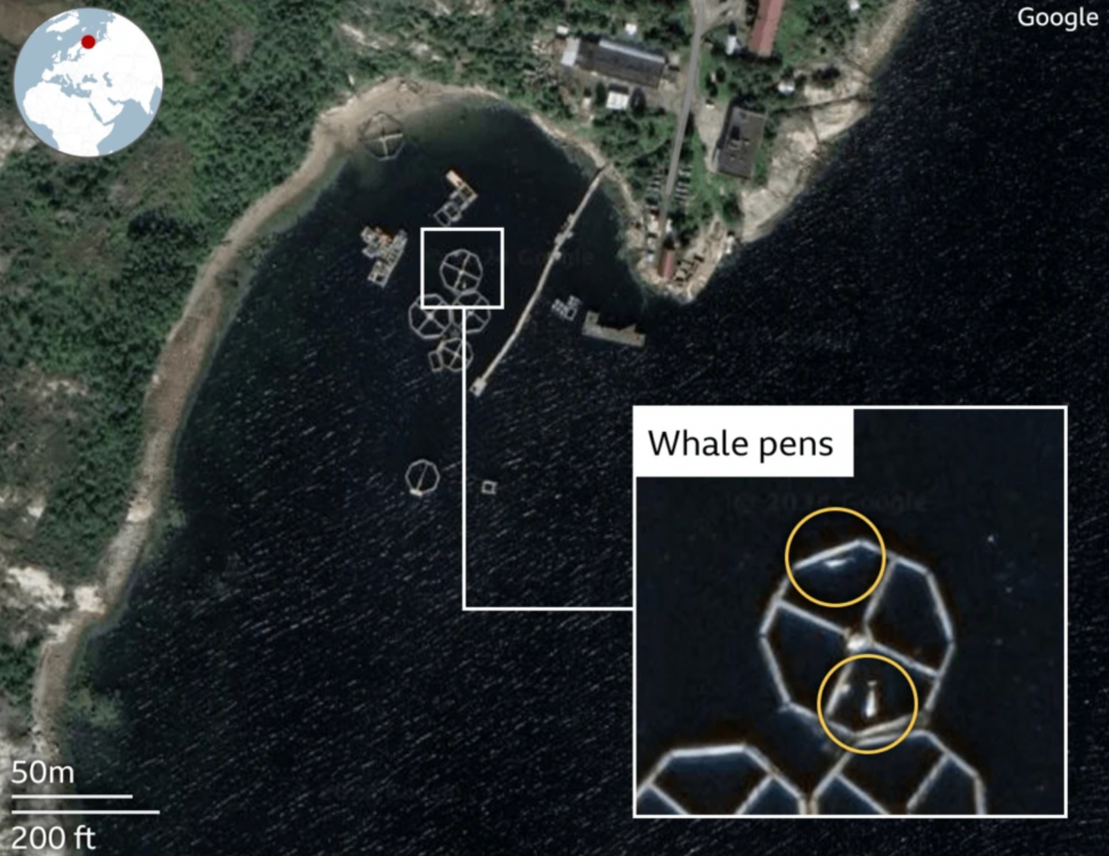 Satellite images from near Murmansk in the Russian Arctic show what appear to be white whales in pens near a submarine base