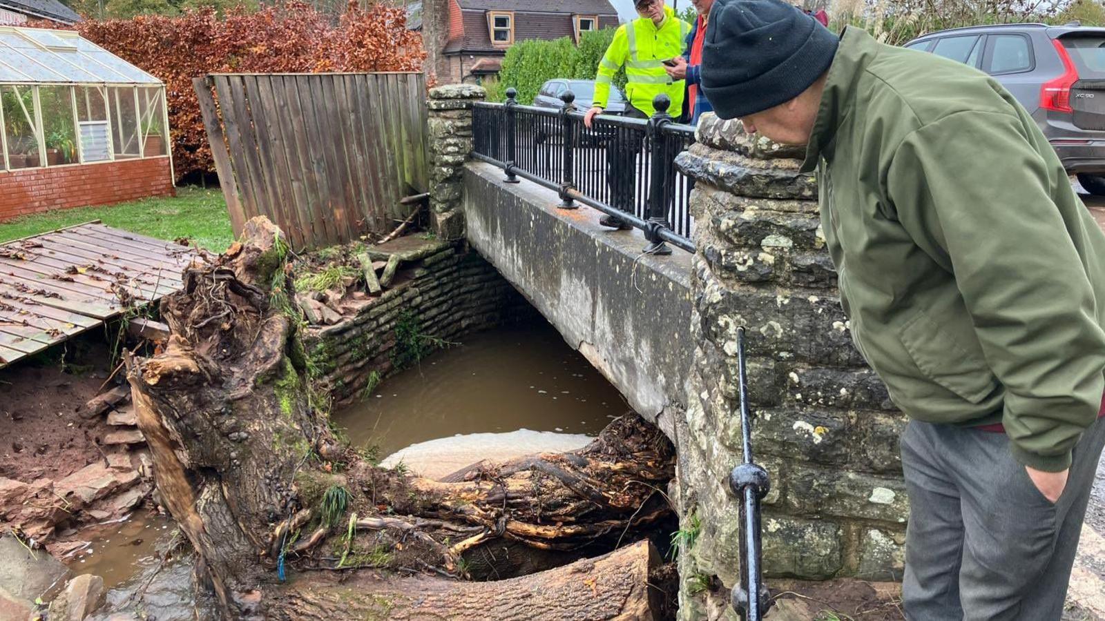 A tree trunk that is lodged in water under a small bridge after flooding. A man is peering down and looking at the trunk. Two people are also standing on the bridge. A garden and a conservatory can be seen in the background.