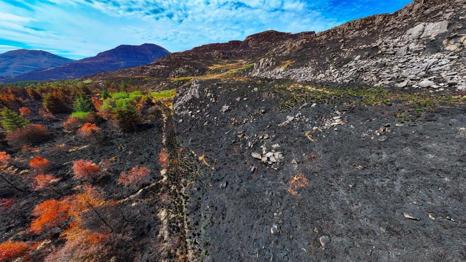An aerial picture of the Rhinogydd mountain range, showing huge areas of burnt-out black land, and scorched trees.