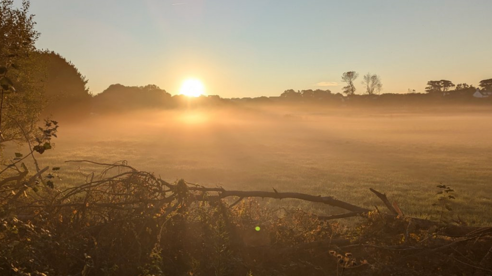 The image shows a landscape during either sunrise or sunset in Jersey. A low sun casts a warm golden glow across a misty field, creating a soft and peaceful atmosphere. In the foreground, there are bushes and branches, while trees line the background.