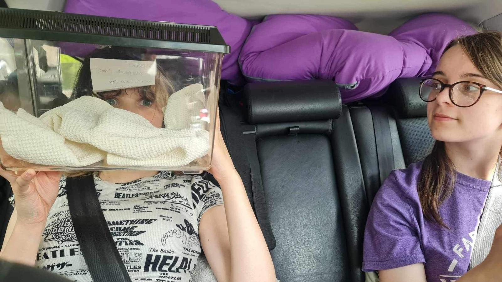 Girl on car seat holding bat in a plastic case