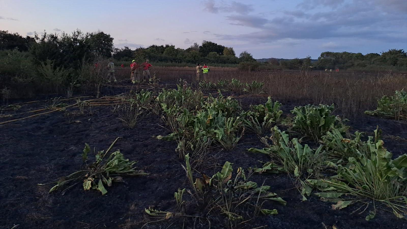 Several people in high-viz clothing can be seen in a field that has visibly been charred by flames