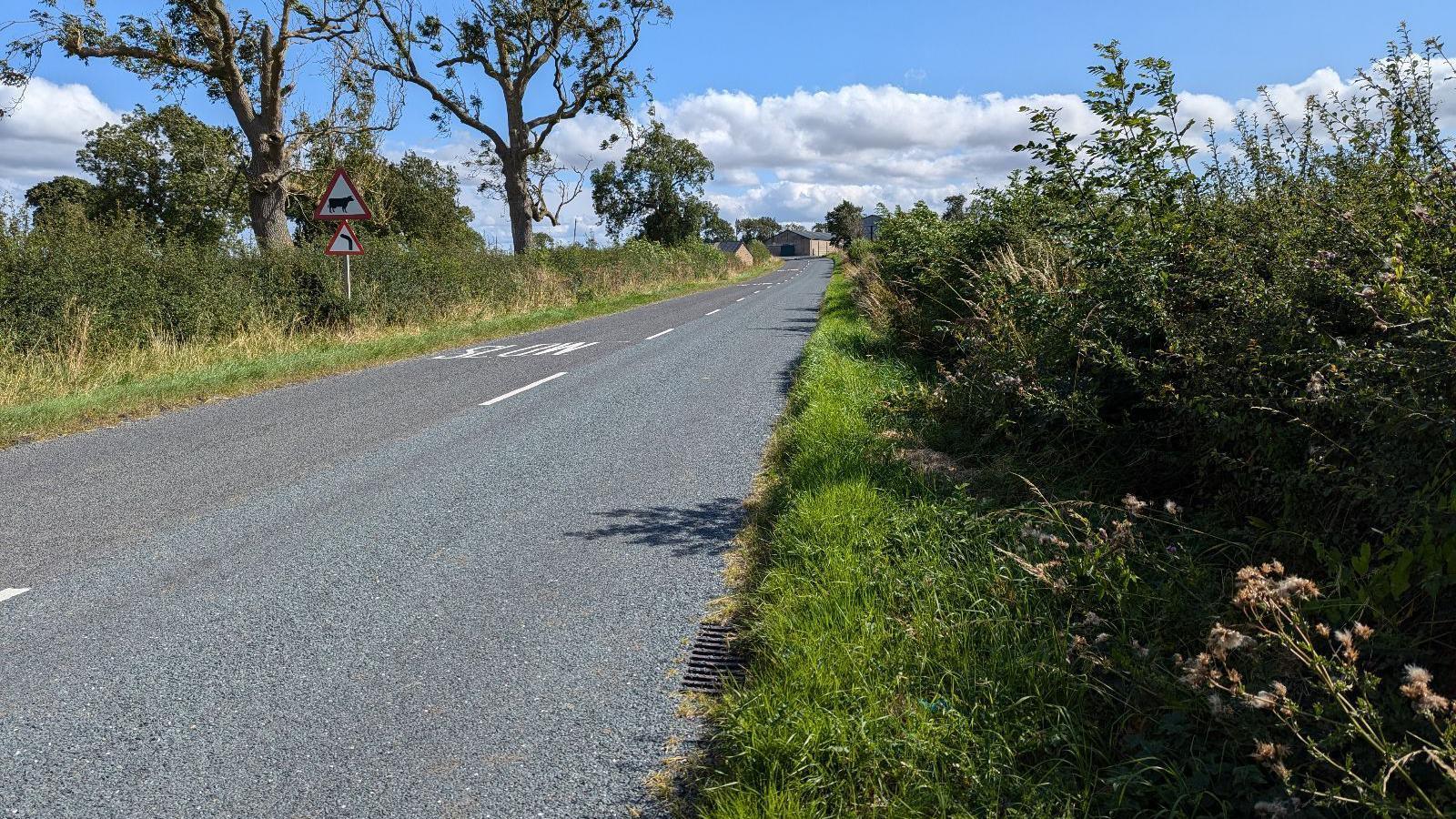 A country road with grass verges, lined with bushes and trees. The word 'slow' is written on the road and there are two road signs, one warning of animals and the other of a bend in the road.