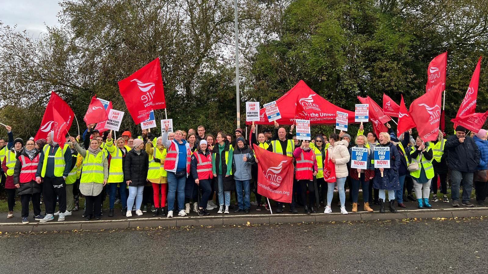 About 50 people standing waving flags and union signs in front of a line of trees near the factory