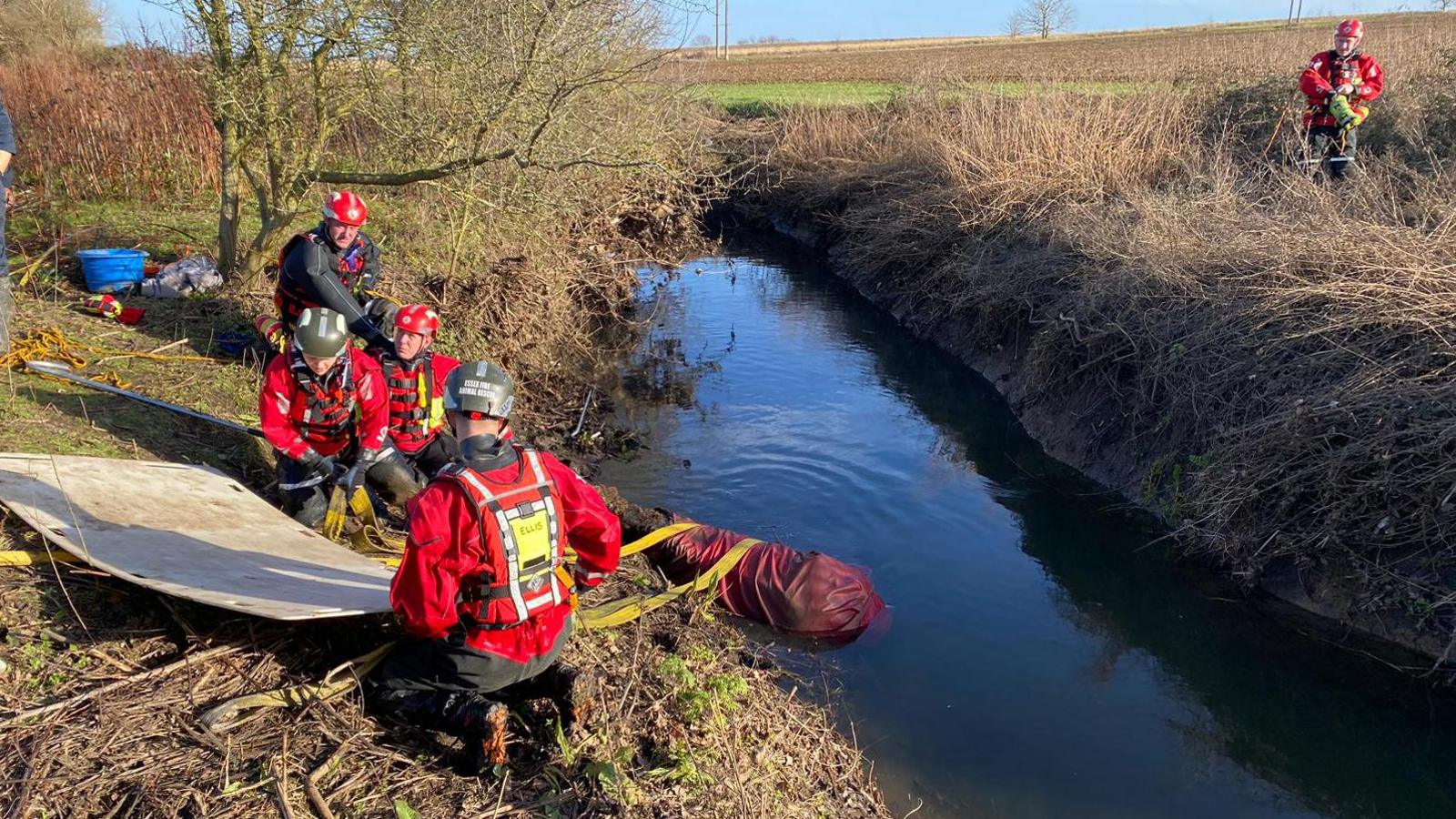 A horse in a ditch being rescued by firefighters