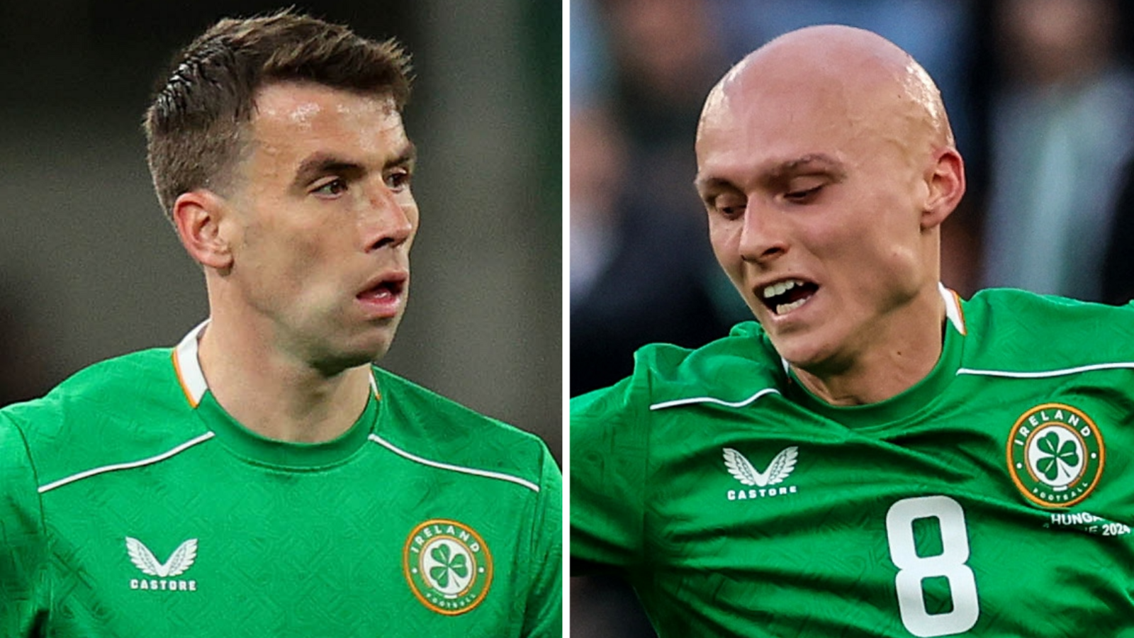 Seamus Coleman and Will Smallbone will miss the Republic of Ireland's Nations League games against Finland and Greece