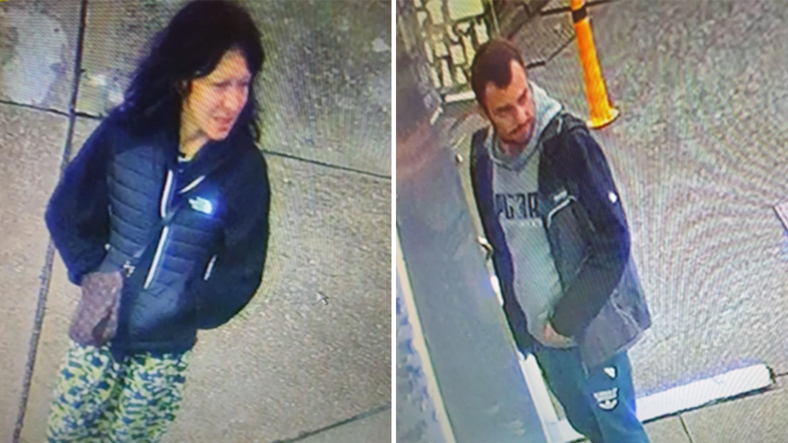 CCTV of two people police want to talk to after Farnham burglary