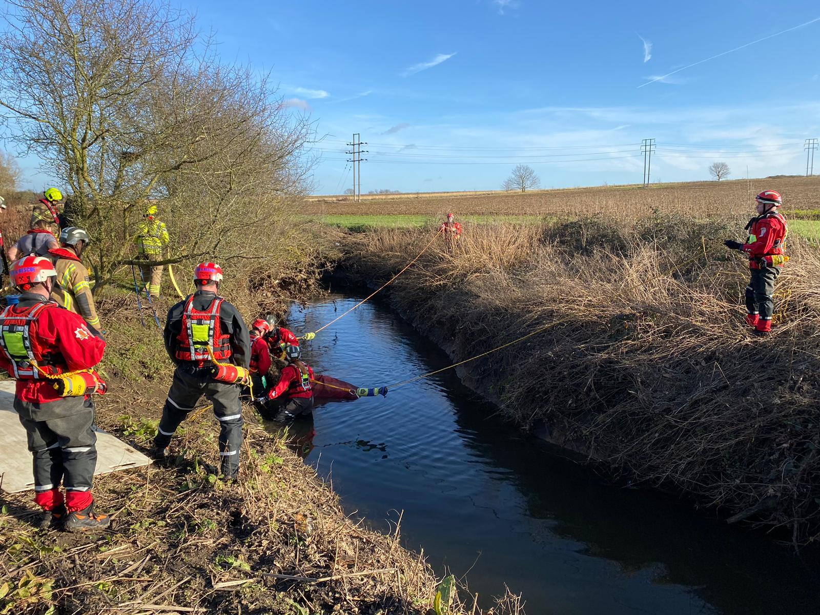 A fire service rescuing a horse from a Billericay ditch