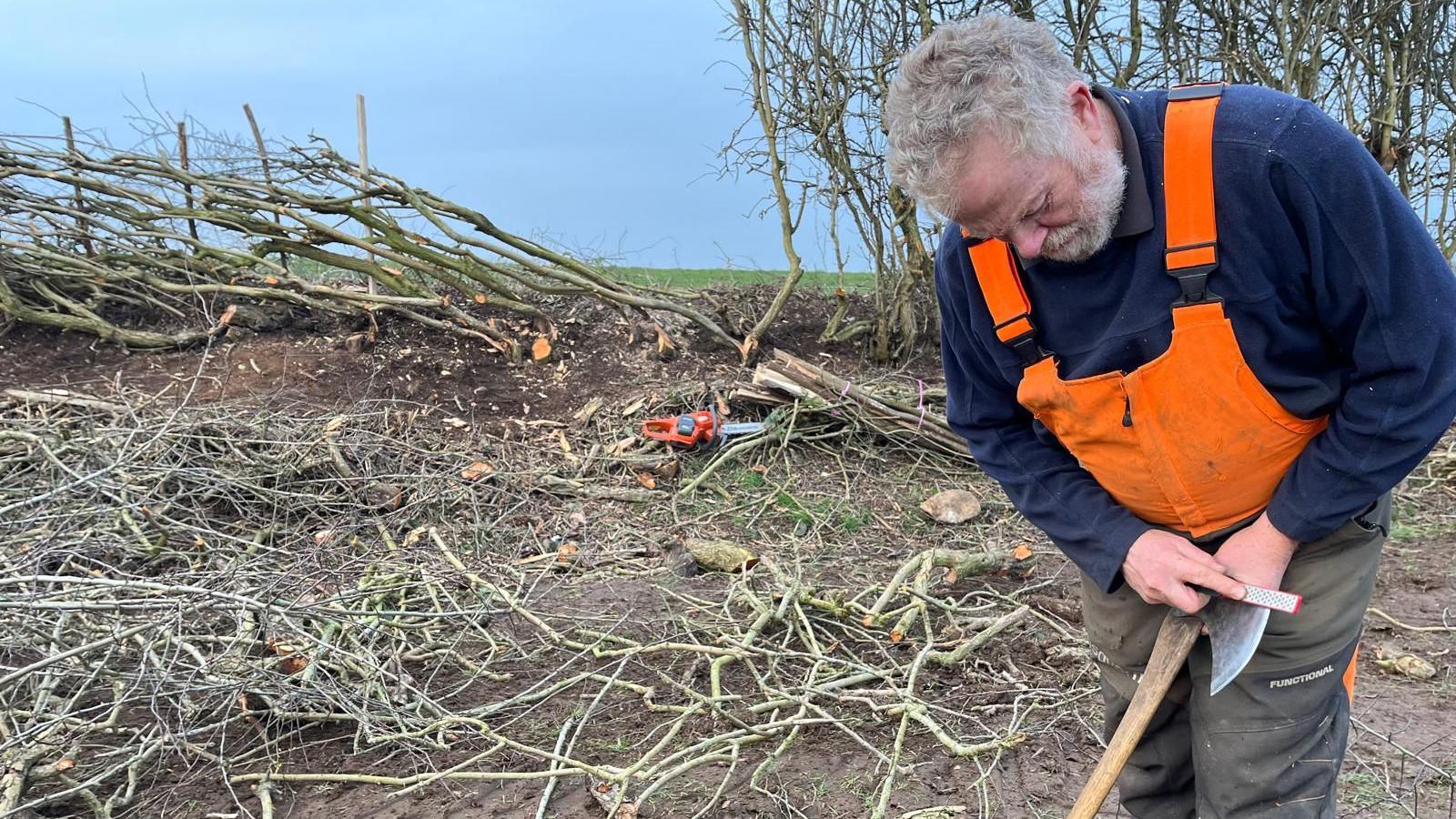 Steve is sharpening his axe, behind him is a chain saw and a hedge which has been lain to one side 