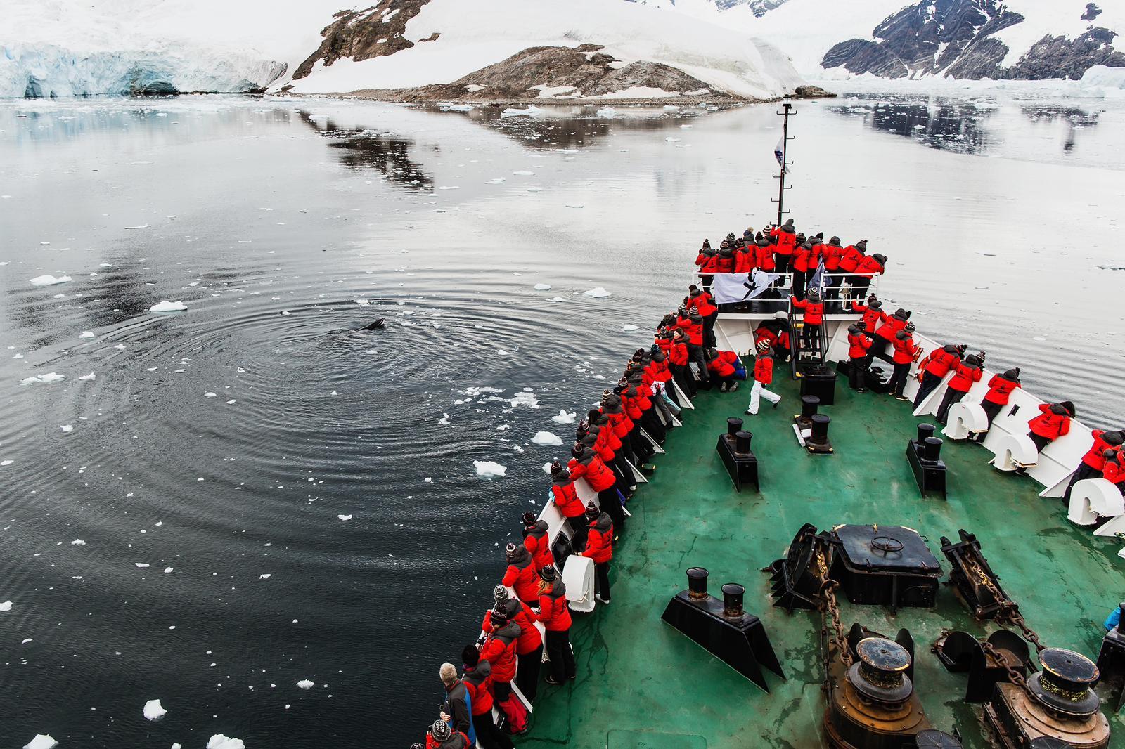 Un o deithiau blaenorol 鶹Լward Bound i Antarctica