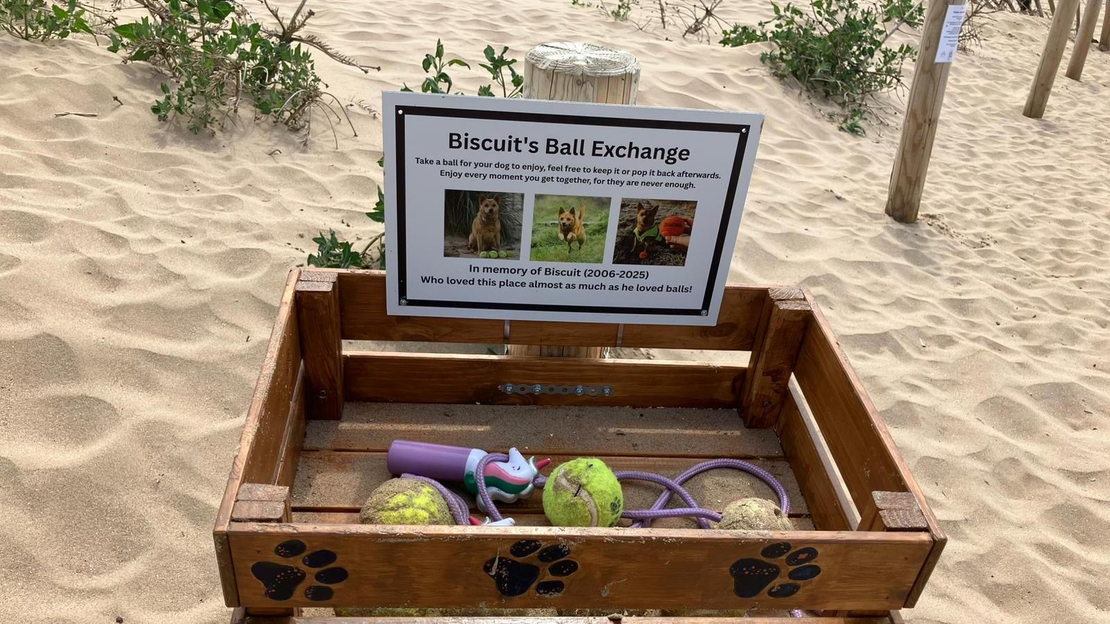 A wooden crate with dog paws on it has sand covered balls and chewed toys in it
