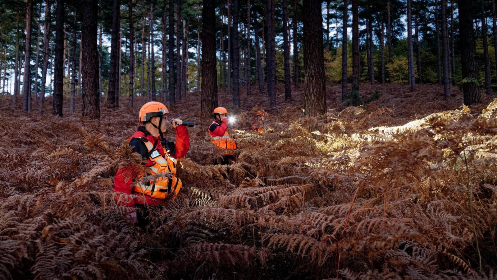 Staff from Berkshire Lowland Search and Rescue searching the woods