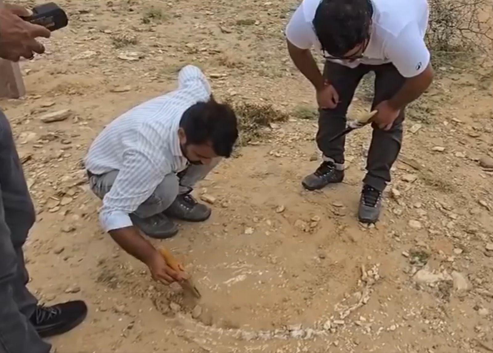 Researchers seen dusting the skeletal remains at the site of the fossil discovery