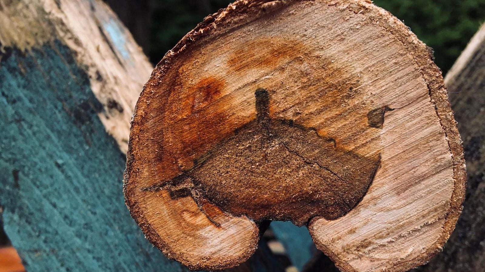A cross section of a log with darker wood and stains in the wood grain which resemble Glastonbury Tor in Somerset.